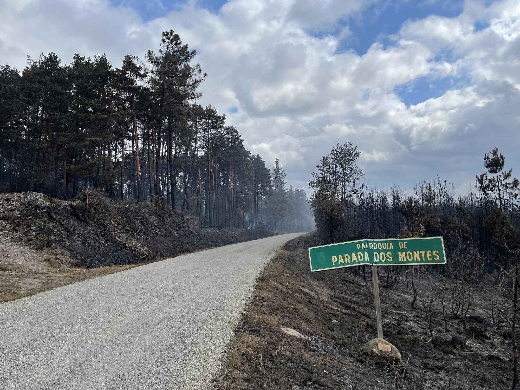 Incendios Courel - 8